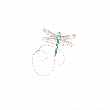 dragonfly green with beige wings and circuitous trail