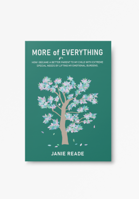More of Everything paperback cover
