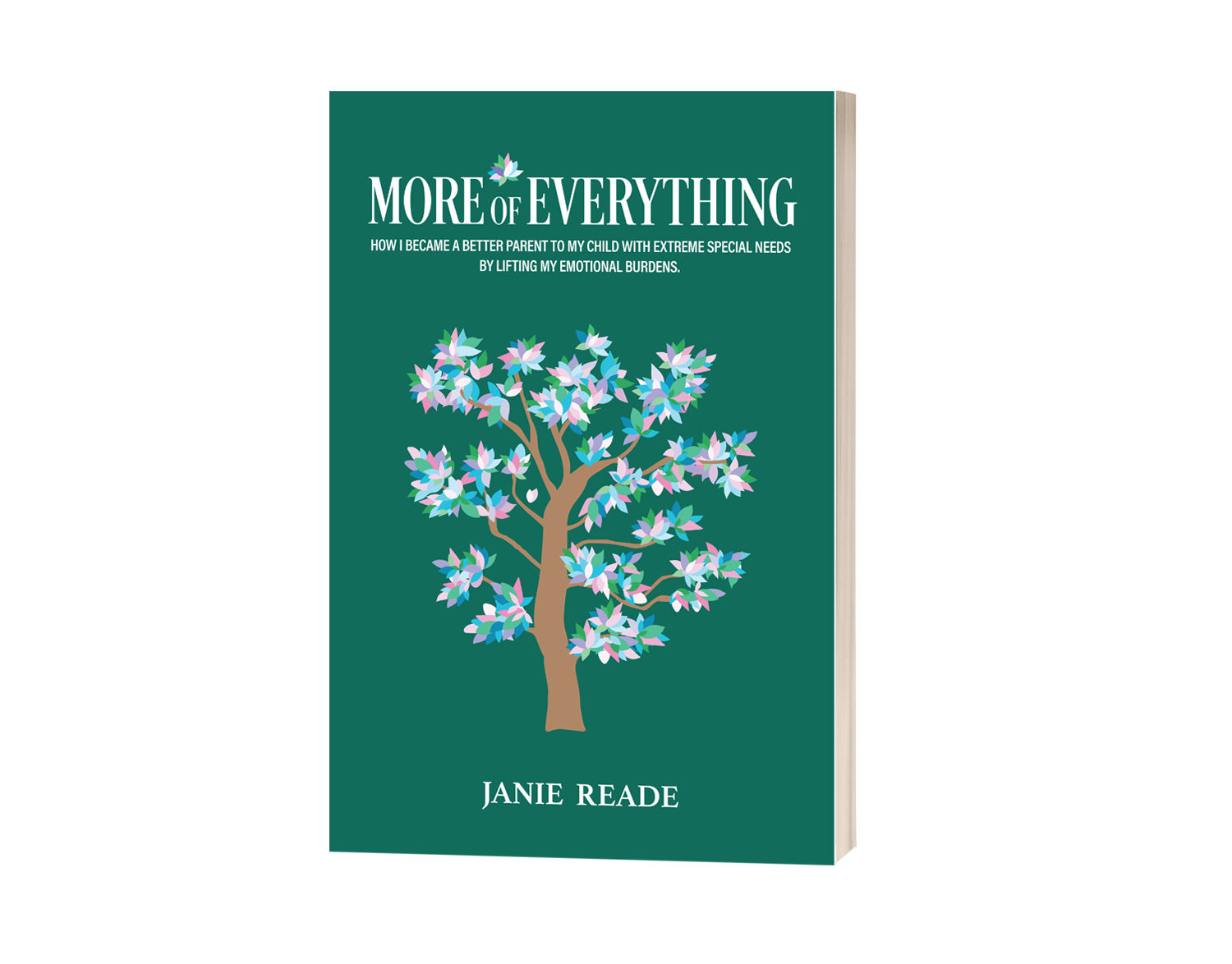 More of Everything by Janie Reade paperback book cover by Gyoung Soon Choi and Rhianon Page